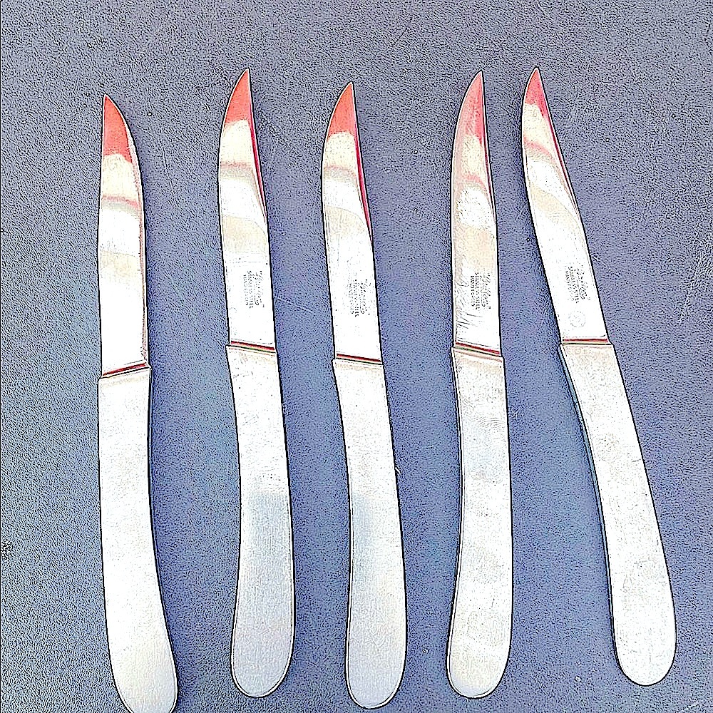 Stainless Steel Steak Knife Set - Silver Made in Italy 🇮🇹